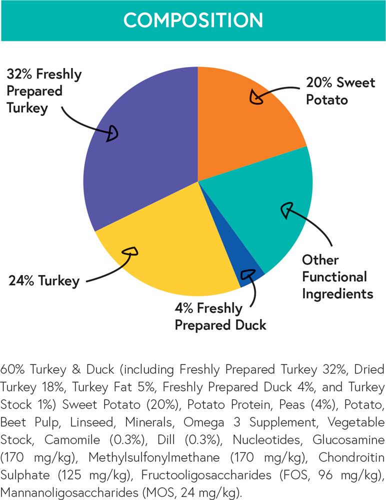 Small Dog Breed Puppy Turkey Composition